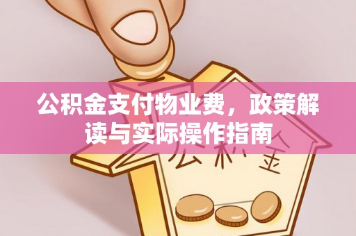 金水公积金支付物业费，政策解读与实际操作指南