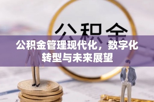 金水公积金管理现代化，数字化转型与未来展望