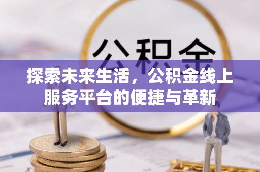 金水探索未来生活，公积金线上服务平台的便捷与革新