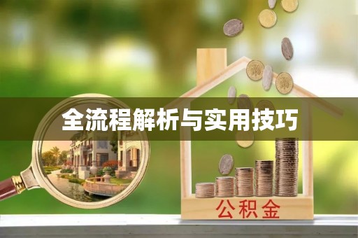 金水全流程解析与实用技巧