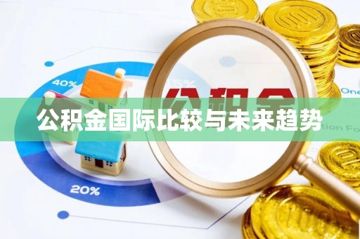 金水公积金国际比较与未来趋势