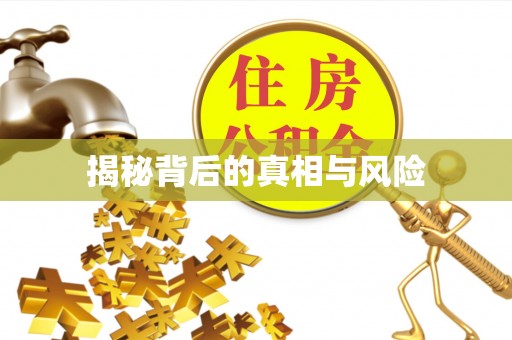 金水揭秘背后的真相与风险