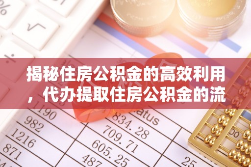 金水揭秘住房公积金的高效利用，代办提取住房公积金的流程与技巧
