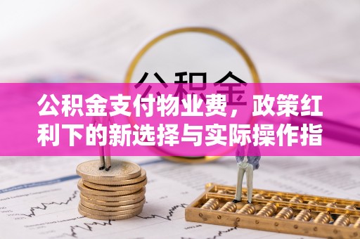 金水公积金支付物业费，政策红利下的新选择与实际操作指南