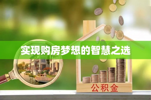 金水实现购房梦想的智慧之选