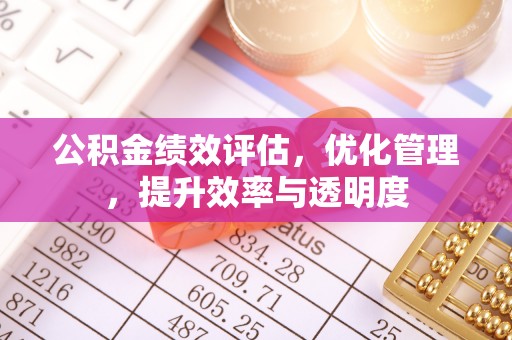 金水公积金绩效评估，优化管理，提升效率与透明度