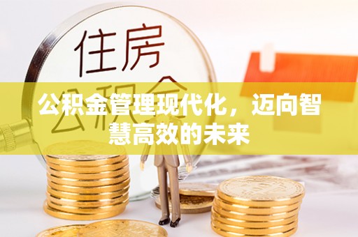 金水公积金管理现代化，迈向智慧高效的未来