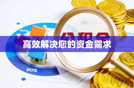 金水高效解决您的资金需求