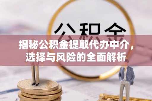 金水揭秘公积金提取代办中介，选择与风险的全面解析