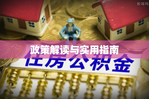 金水政策解读与实用指南