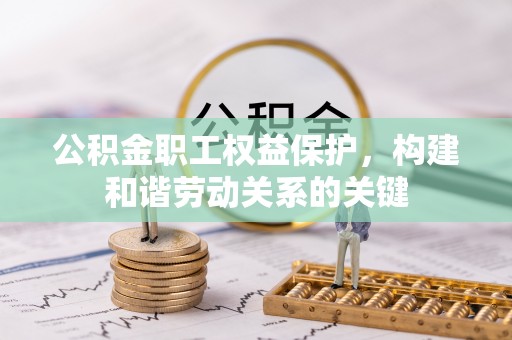 金水公积金职工权益保护，构建和谐劳动关系的关键
