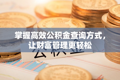 金水掌握高效公积金查询方式，让财富管理更轻松