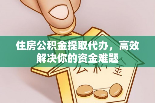 金水住房公积金提取代办，高效解决你的资金难题