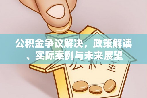 金水公积金争议解决，政策解读、实际案例与未来展望