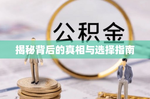 金水揭秘背后的真相与选择指南