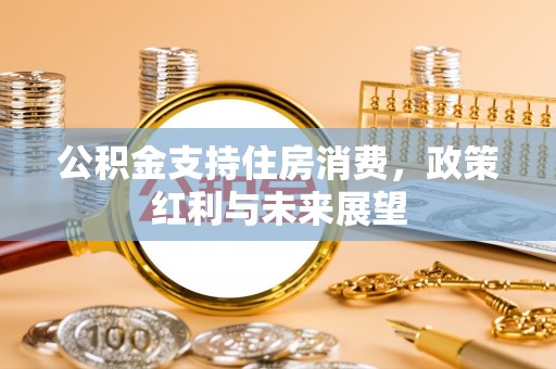金水公积金支持住房消费，政策红利与未来展望