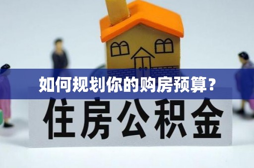 金水如何规划你的购房预算？