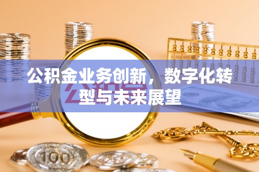 金水公积金业务创新，数字化转型与未来展望