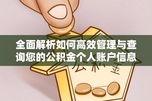 金水全面解析如何高效管理与查询您的公积金个人账户信息