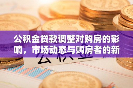 金水公积金贷款调整对购房的影响，市场动态与购房者的新选择