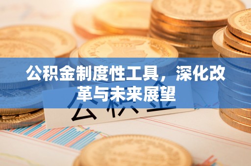 金水公积金制度性工具，深化改革与未来展望