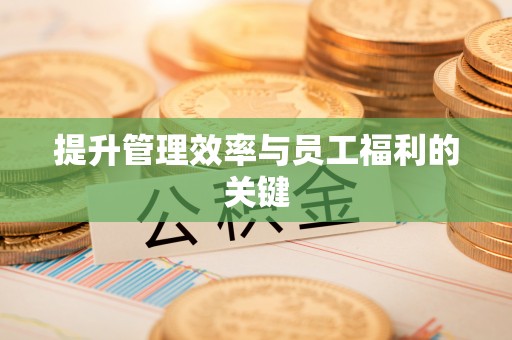 金水提升管理效率与员工福利的关键