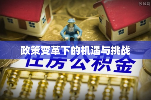 金水政策变革下的机遇与挑战